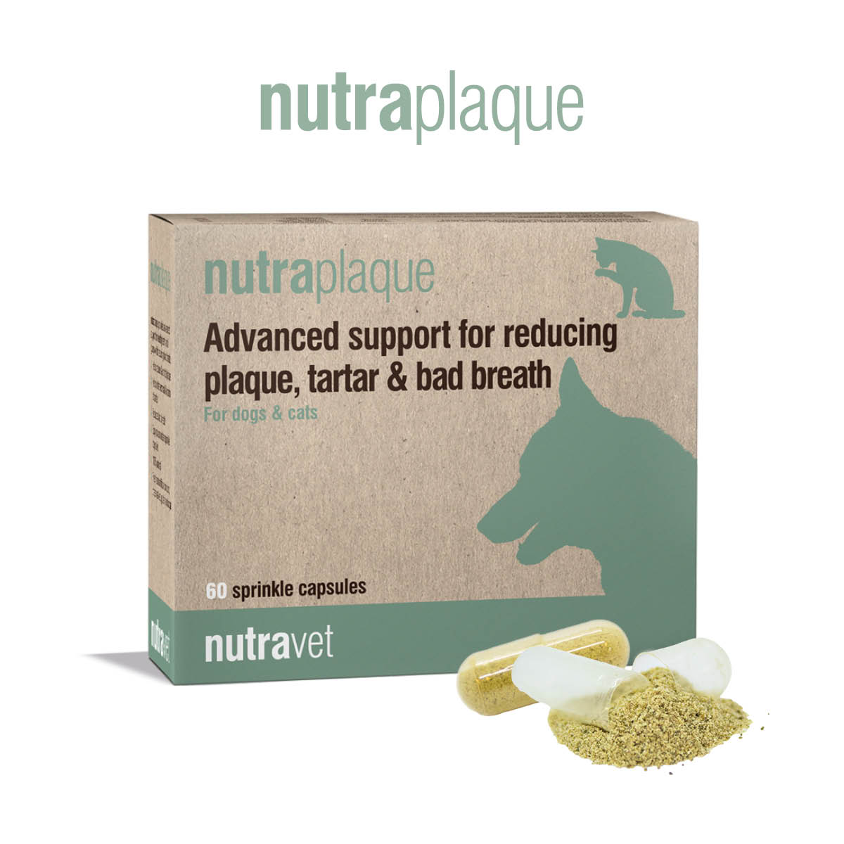 Maryann Chidgey product image